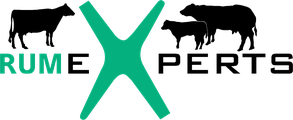 Rumexperts